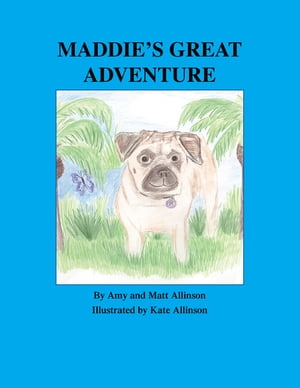 Maddie's Great AdventureŻҽҡ[ Amy Allinson ]