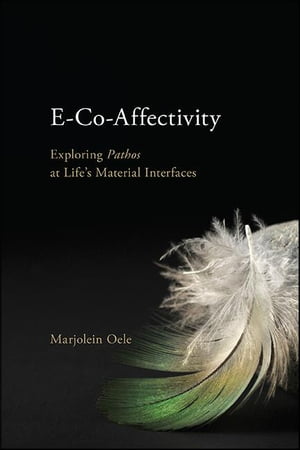 E-Co-Affectivity