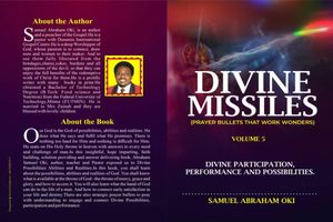 DIVINE MISSILES (PRAYER BULLETS THAT WORK WONDERS) VOLUME 5 DIVINE PARTICIPATION, PERFORMANCE AND POSSIBILITIES
