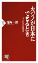 カジノが日本にできるとき 「大人社会」の経済学【電子書籍】 谷岡一郎