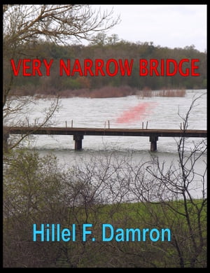 Very Narrow Bridge