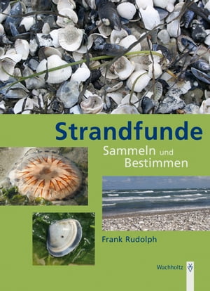 Strandfunde Sammeln &Bestimmen von Tieren und Pflanzen an Nord- und Ostseek?steŻҽҡ[ Frank Rudolph ]