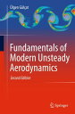 Fundamentals of Modern Unsteady Aerodynamics【電子書籍】 lgen G l at