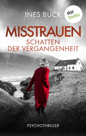 Misstrauen - Schatten der Vergangenheit Psychothriller - Eine Frau sucht in Irland verzweifelt nach Antworten