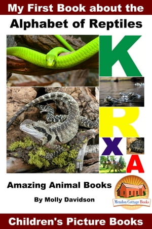 ŷKoboŻҽҥȥ㤨My First Book about the Alphabet of Reptiles: Amazing Animal Books - Children's Picture BooksŻҽҡ[ Molly Davidson ]פβǤʤ393ߤˤʤޤ