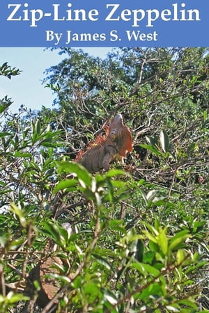 ŷKoboŻҽҥȥ㤨Zip-Line ZeppelinŻҽҡ[ James West ]פβǤʤ215ߤˤʤޤ