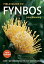 Field Guide to Fynbos