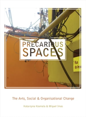 Precarious Spaces The Arts, Social and Organizational Change