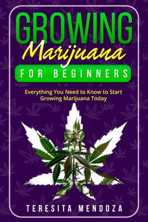 Growing Marijuana for Beginners