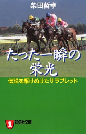 たった一瞬の栄光ーー伝説を駆けぬけたサラブレッド