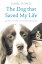 The Dog that Saved My Life: Incredible true stories of canine loyalty beyond all bounds