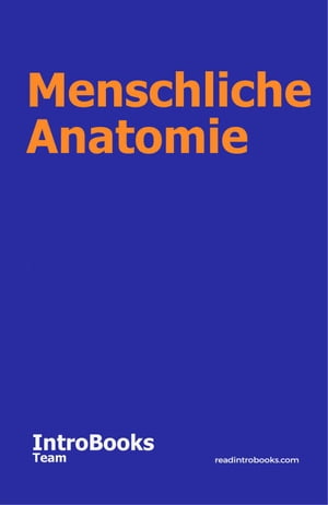 Menschliche Anatomie