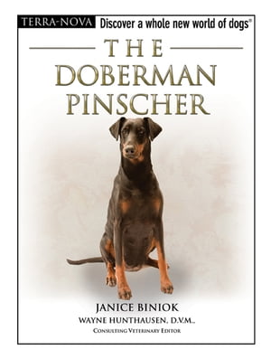 The Doberman Pinscher