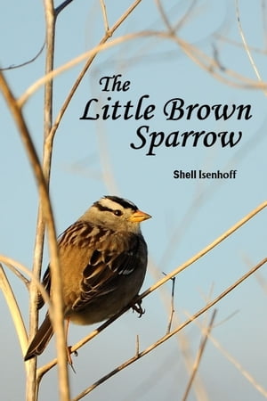 The Little Brown Sparrow