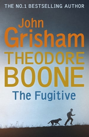 Theodore Boone: The Fugitive Theodore Boone 5
