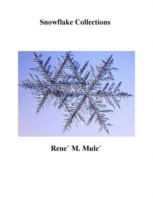 Snowflake Collections【電子