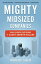 Mighty Midsized Companies