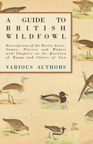 A Guide to British Wildfowl - Descriptions of the Ducks, Geese, Swans, Plovers and Waders with Chapters on the Question of Range and Choice of Gun