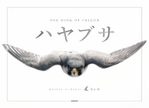 ハヤブサ THE WING OF FALCON【電子書籍】[ 熊谷勝 ]