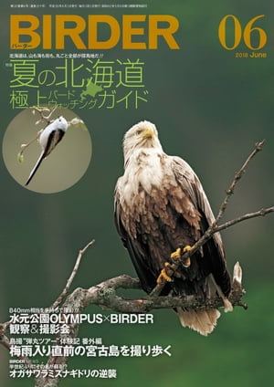 BIRDER2018年6月号