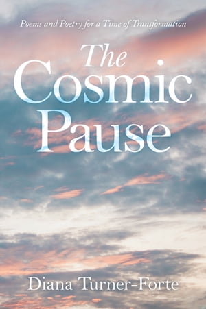 The Cosmic Pause