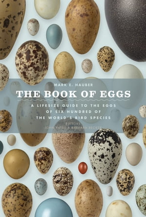 The Book of Eggs