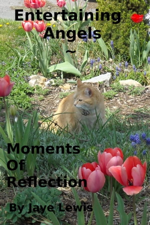 Entertaining Angels ~ Moments of ReflectionŻҽҡ[ Jaye Lewis ]