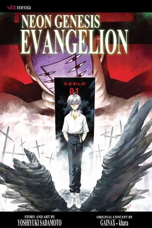 Neon Genesis Evangelion, Vol. 11