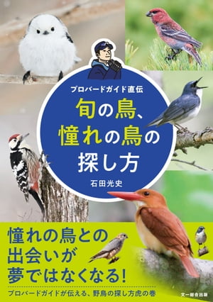 旬の鳥、憧れの鳥の探し方