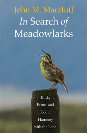 In Search of Meadowlarks