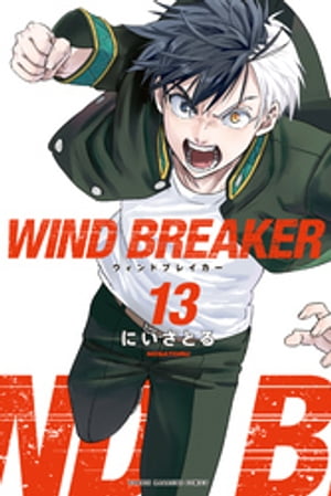WIND BREAKER（13）【電子書籍】 にいさとる