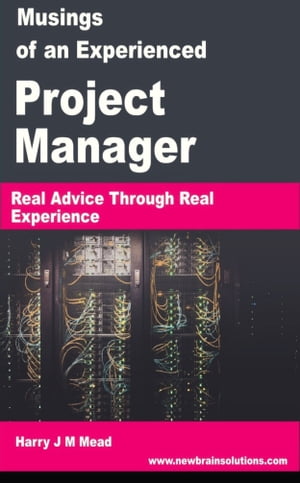 Musings of an Experienced Project Manager