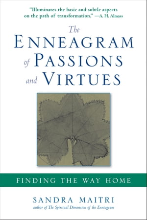 The Enneagram of Passions and Virtues