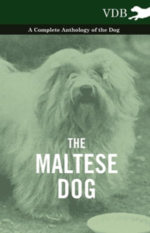 The Maltese Dog - A Complete Anthology of the Dog