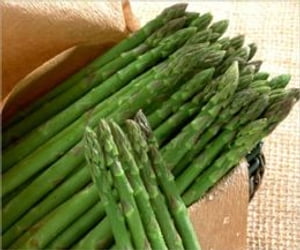 A Crash Course on How to Grow Asparagus