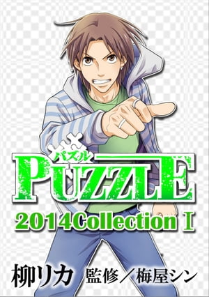 PUZZLE2014collectionI