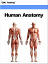 Human Anatomy (Human Body) Includes Anatomy, Physiology, Human Body, Tissues, Integumentary, Fascial, Skeletal, Muscular, Digestive, Respiratory Breathing, Urogenital, Cardiovascular, Lymphatic, Endocrine, and Nervous Systems【電子書籍】