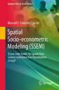 Spatial Socio-econometric Modeling (SSEM) A Low-Code Toolkit for Spatial Data Science and Interactive Visualizations Using R