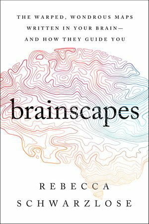 Brainscapes