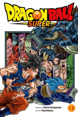 Dragon Ball Super, Vol. 13