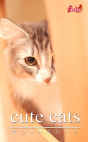 cute cats17 ノルウェージャンフォレストキャット【電子書籍】