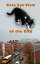 ŷKoboŻҽҥȥ㤨A Cat's Eye View of the CityŻҽҡ[ Patricia Gaydos ]פβǤʤ106ߤˤʤޤ