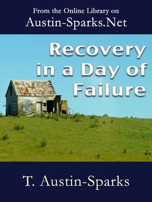 Recovery in a Day of Failure