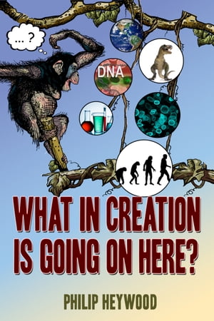 What In Creation Is Going On Here?