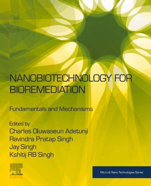 Nanobiotechnology for Bioremediation Fundamentals and Mechanisms