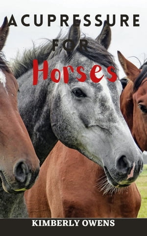 Acupressure For Horses