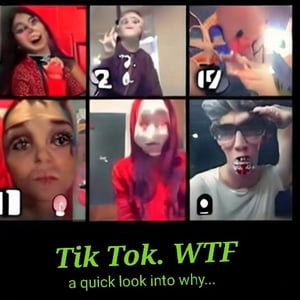 Tik-Tok à quick look into why.