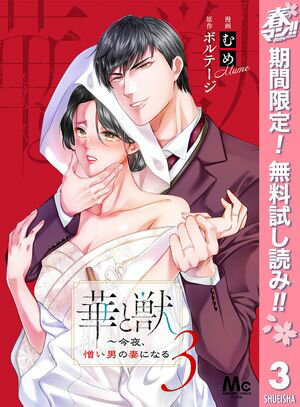 華と獣〜今夜、憎い男の妻になる【期間限定無料】 3