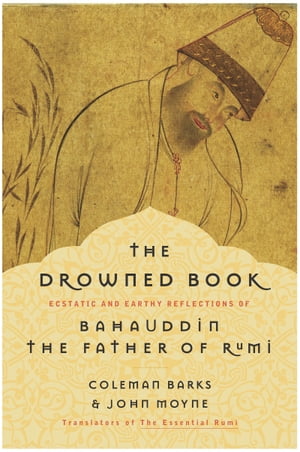 The Drowned Book