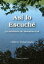 As? lo Escuch?: La sabidur?a de Masahisa GoiŻҽҡ[ Hideo Takahashi ]